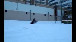 winter start