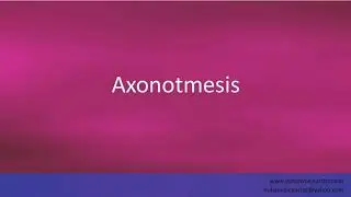 Pronunciation of the word(s) 