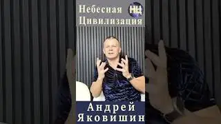 Вечно учащиеся. Андрей Яковишин.