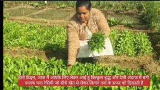 आज मैं आपके लिए लेकर आई हूँ Palak Chana Masala &ndash; एकदम healthy, tasty और desi village style recipe 😋