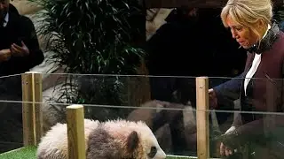 La Premi&egrave;re dame de France visite un centre de reproduction des pandas en Chine