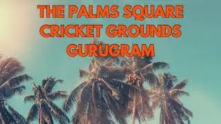 ground 1 T20 Live Cricket at The Palm Square cricket Ground 1