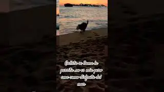 ASI SE DISFRUTA DEL MAR