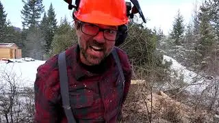 A Bit of Progress - The Homestead Adventure(r) - Ep9