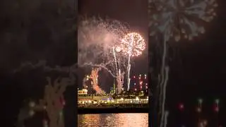 Fireworks Cruise Magic: Happily Ever After Show! ✨🚤 #Shorts