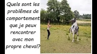 quels problemes puis je rencontrer avec mon propre cheval?