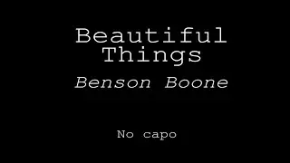 BEAUTIFUL THINGS by BENSON BOONE