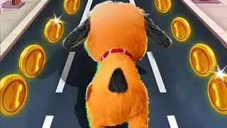 Dog Run Game | Fun Run Dog - Free Running Games 2020 | New Dog Run Android Gameplay | Pet Run Game