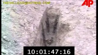 Video 109 Iraq  Saddam Hussein Era r&eacute;gimen V&iacute;deo Archivo By Thevalle323@hotmail.com