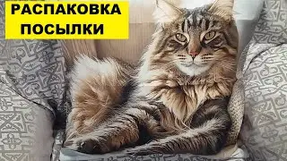 РАСПАКОВКА ПОСЫЛКИ С TEMU..ВСЁ НРАВИТСЯ!