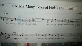 See, see my many coloured fields