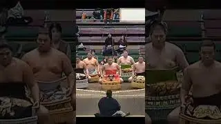 Новобранцы в сумо 2025 #japan #sport #sumo #сумо #wwe #япония #mma #ufc #борьба