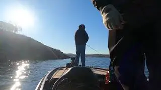 2024 Westside Bass Fishing Don Pedro 3rd Swimbait Fish