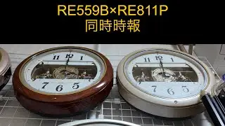 RE559B×RE811P 同時時報