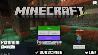Minecraft platinum Clean Up  Thanks to Nintinking
