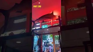 Seafood Bar spui 15  part one Amsterdam #instagram #india #food #reels #viral #youtubeshorts