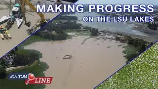 Прогресс на озерах LSU | Итоги