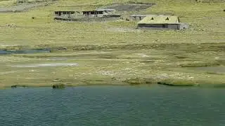 Vicu&ntilde;as en la carretera, Arequipa, Per&uacute;. 17 Junio 2024 (2)