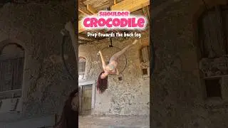 #aeriallyra #aerial #aerialhoop #aerialflow #lyrahoop #acrobatics #aerialtricks #aerialdance #dance
