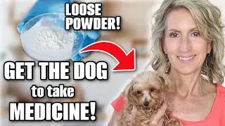 Easy Trick to Give Your Dog Powdered Medicine!