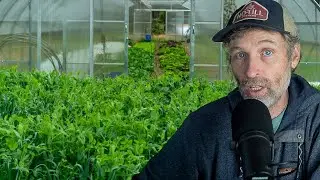 Our Tomato Trellis + Can I Plant the Same Crop Family in the Same Place?