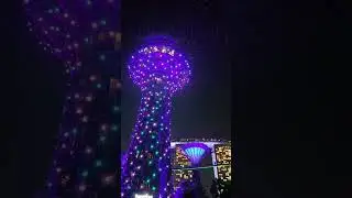 #싱가포르 #가든스바이더베이  슈퍼트리야경쇼#여미남