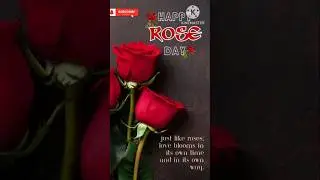 Happy Rose Day Quotes, Images 2025 || Happy Rose Day Wallpapers Status Greetings, Wishes