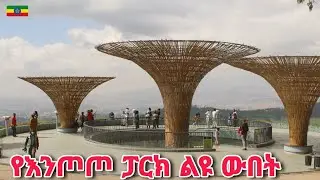 ኑ በእንጦጦ ንፁህ አየር ፏ |  Entoto Park, nature Escape in Addis Ababa 🇪🇹 Ethiopia Walking tour 2025