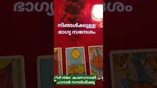 Good luck message for you |Divine Messages | 1111 Divine Justice Tarot#tarot