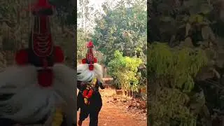 Sankasur - Kokan Shimga #kokan #holi #shimga #2024 #reels #village #festival #rangpanchami #raigad