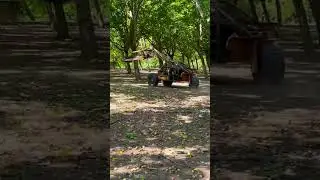 Добыча грецкого ореха