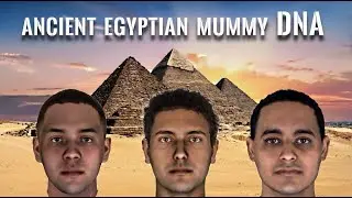 NEW DNA from Ancient Egyptian 4,500yr old from the 3rd Dynasty