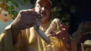 Prof. Norman Khalaf with a Ball Python at Jungle Book at City Walk Dubai