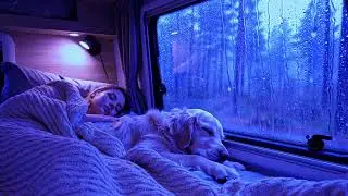 Heavy Rain and Thunder Sounds for Insomnia Relief and Stress Reduction