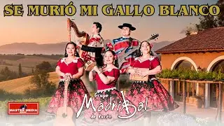 Grupo Madrigal de Pucón - Se Murió Mi Gallo Blanco
