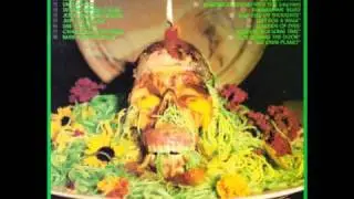 The Flaming Lips - Bag Full of Thoughts