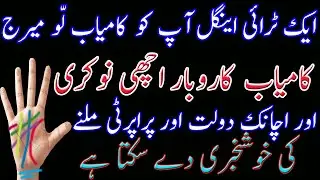 20 Twenty Types Of Triangle On your palm _ Part 02 _ Best Palmist In pakistan  _ palmistry in Urdu _