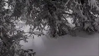 Vail Highlights from 1/18/19
