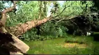 Mount Morris Storm 06-17-13 ABC12 Coverage