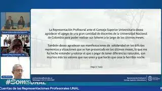 Realización del Proceso de Rendición de Cuentas de las Representaciones Profesorales UNAL