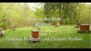 Der Siebenstern mit Gabriele Friemelt