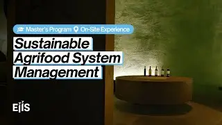 Sustainable Agrifood System Management Master&rsquo;s Program - Tenute Lunelli On Site Experience
