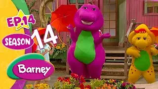 BARNEY & FRIENDS | The Emperor's Contest / The Whole Truth | S. 14, Ep. 15 | FULL EPISODE