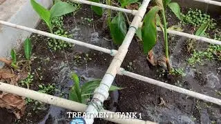 Automatic Bionest System