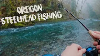 The Beauty of Steelhead Rivers in the PNW