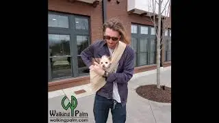 Walking Palm Dog Sling carrier - How to put your dog in!