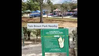 Tour Piney Z Neighborhood