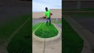 Satisfying Hedge Trimming! 🌿✂️ Watch This Perfectly Shaped Greenery! 😍 #GardeningGoals