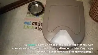 PetSafe 5 Meal Programmable Pet Food Dispenser, Automatic Dog and Cat Feeder - Review