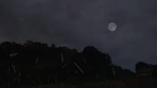 Night Ambient Sounds with Crickets & Wind | Peaceful Night Ambience for Sleep & Relaxation